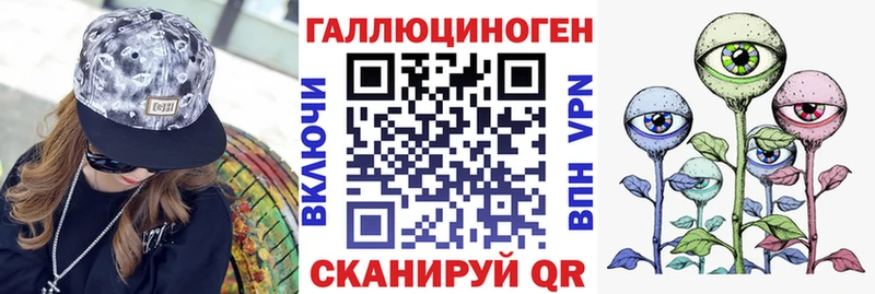 Псилоцибиновые грибы Psilocybe Новоульяновск